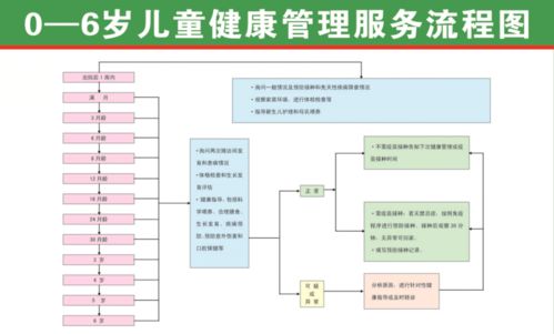 一文讀懂國家免費提供基本公共衛生服務項目 31項全覆蓋，健康福祉觸手可及